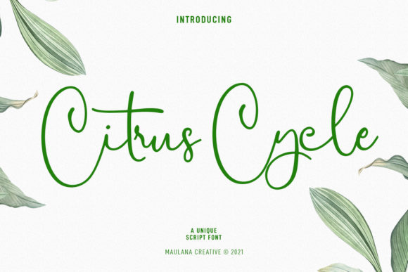 Citrus Cycle Script: A Script Font with a Modern Twist