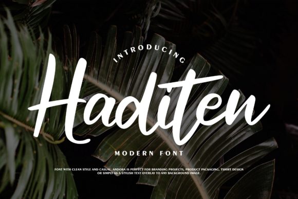 Haditen Script: A Font for Bold, Confident Design